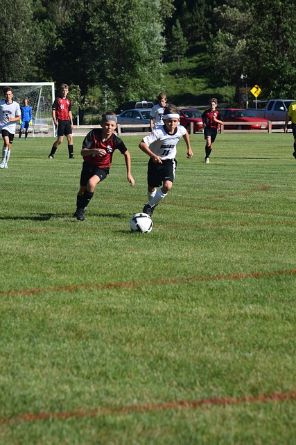 雅的反击 雅的反击