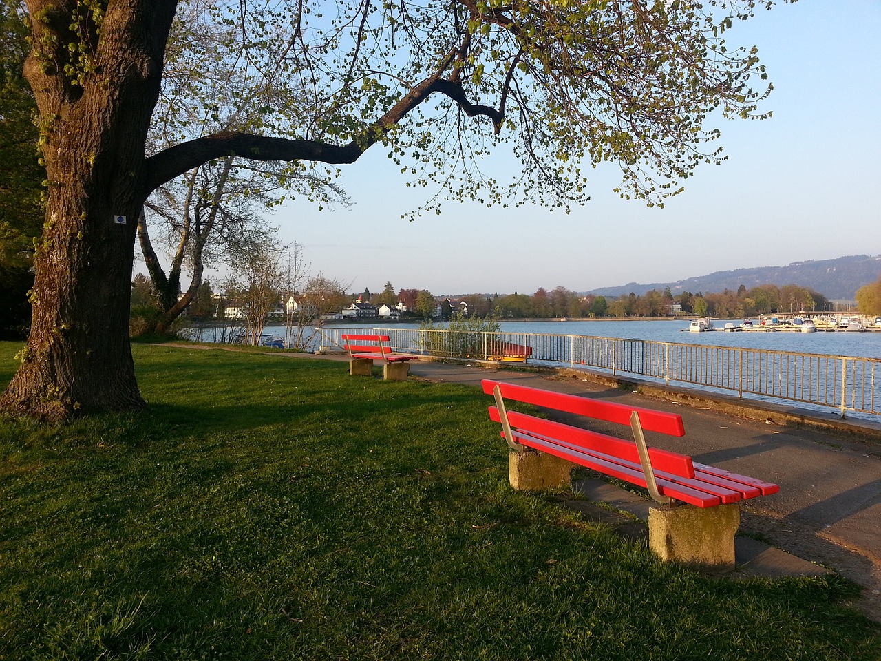 深处接纳和 深处接纳和