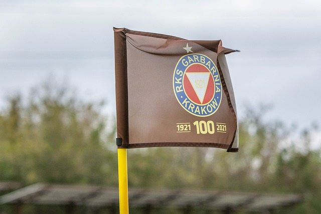 管办分离改革迎来标志性节点 中足联的新意与挑战.